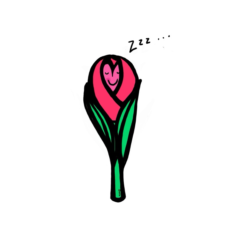 Handgetekende bloemenillustratie door Marretjes